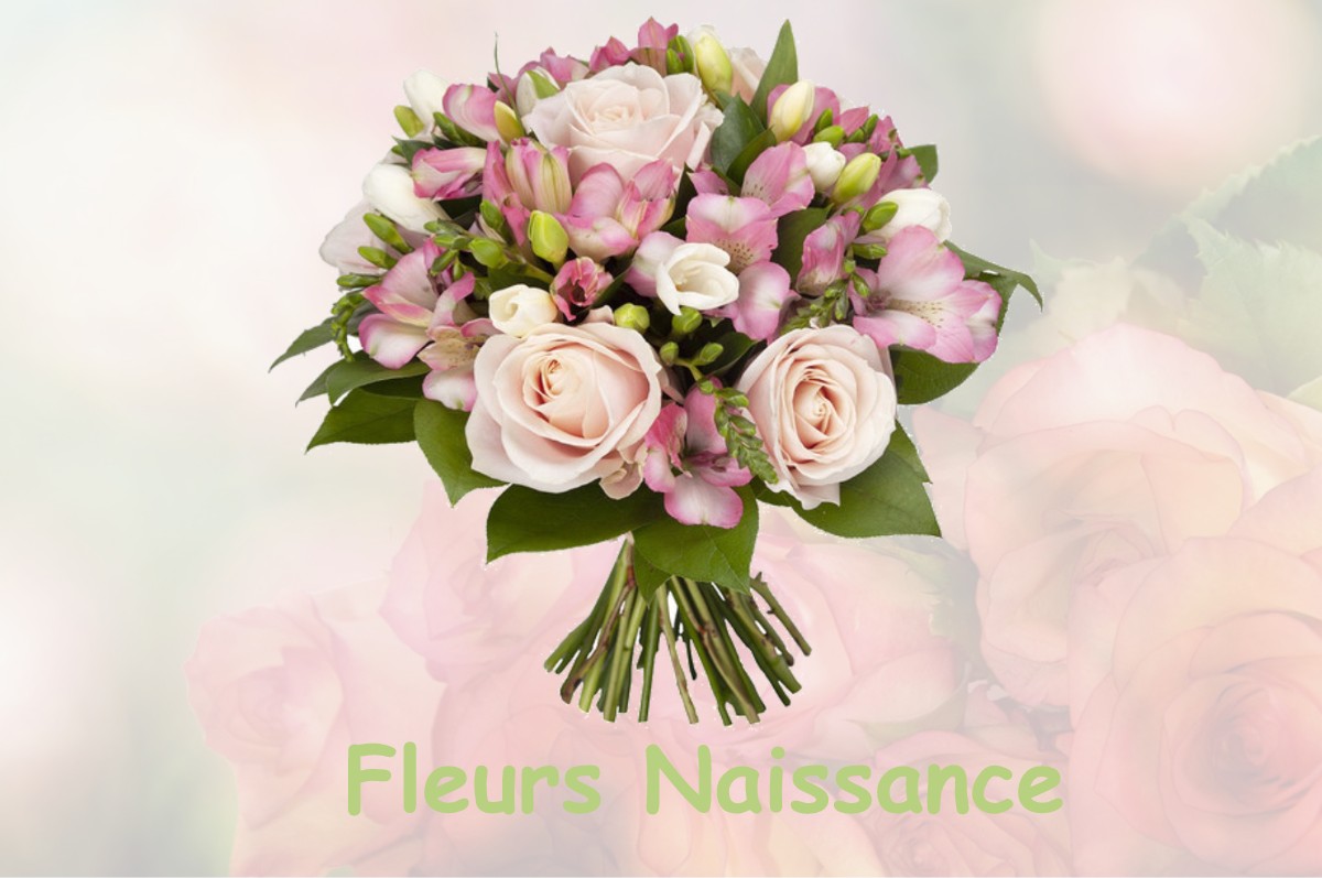 fleurs naissance BRAQUIS