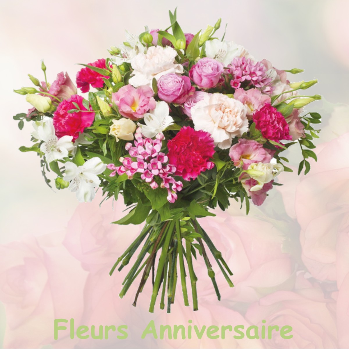 fleurs anniversaire BRAQUIS