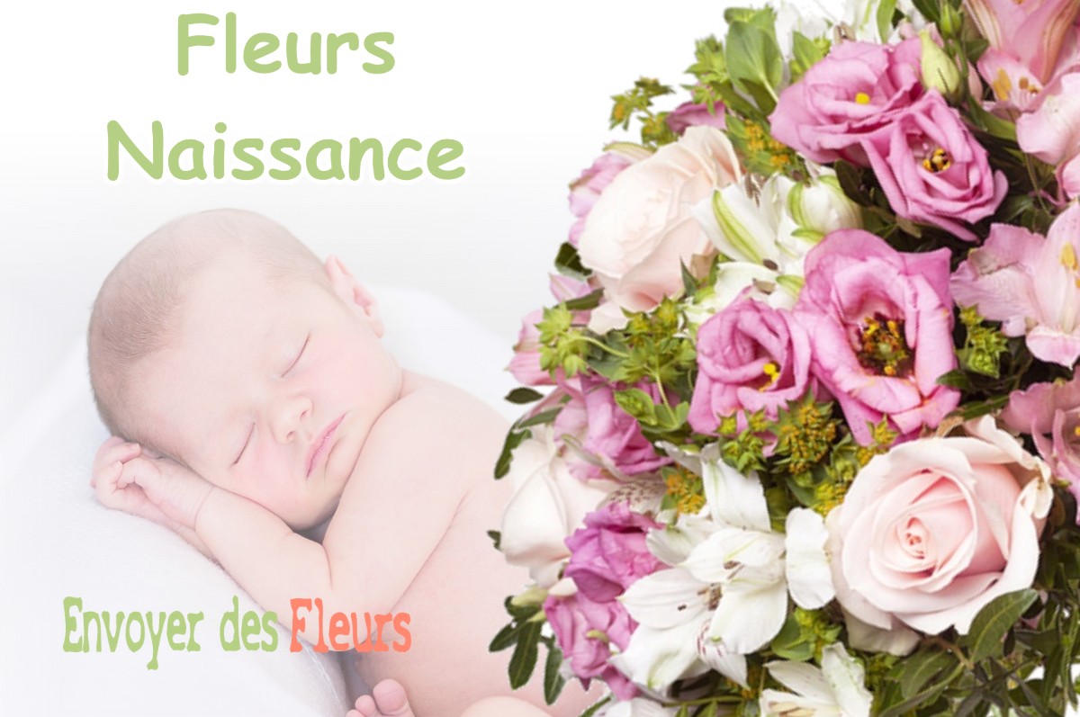 lIVRAISON FLEURS NAISSANCE à BRAQUIS